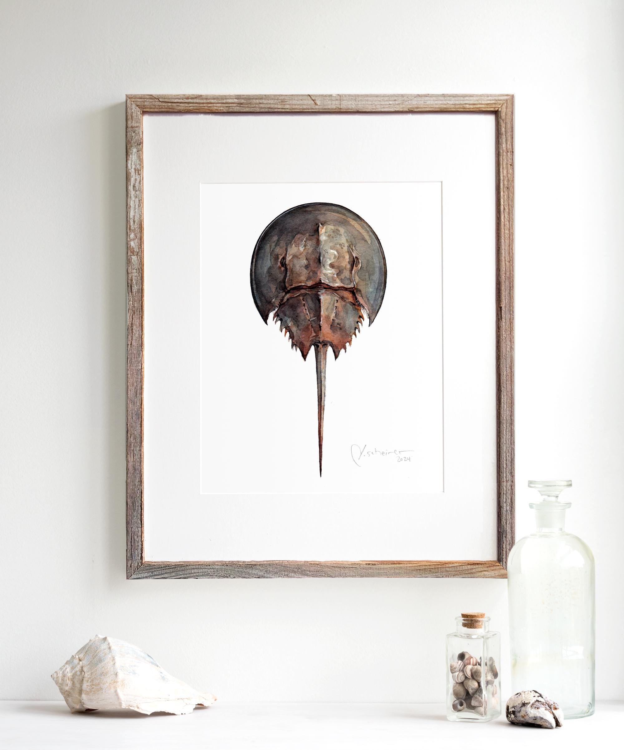 Horseshoe Crab Print