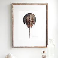 Horseshoe Crab Print