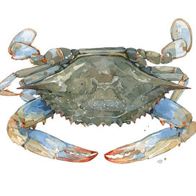 Blue Crab Watercolor Print