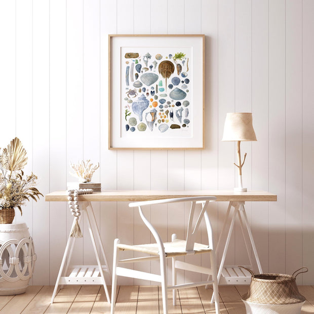 Beachcombing Shells Chart Print