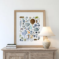 Beachcombing Shells Chart Print