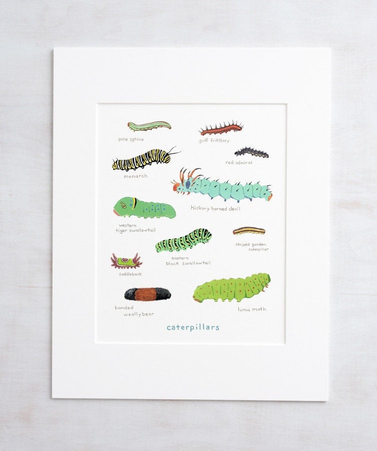 Caterpillars Art Print: Watercolor Nature Painting