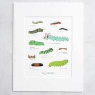Caterpillars Art Print: Watercolor Nature Painting