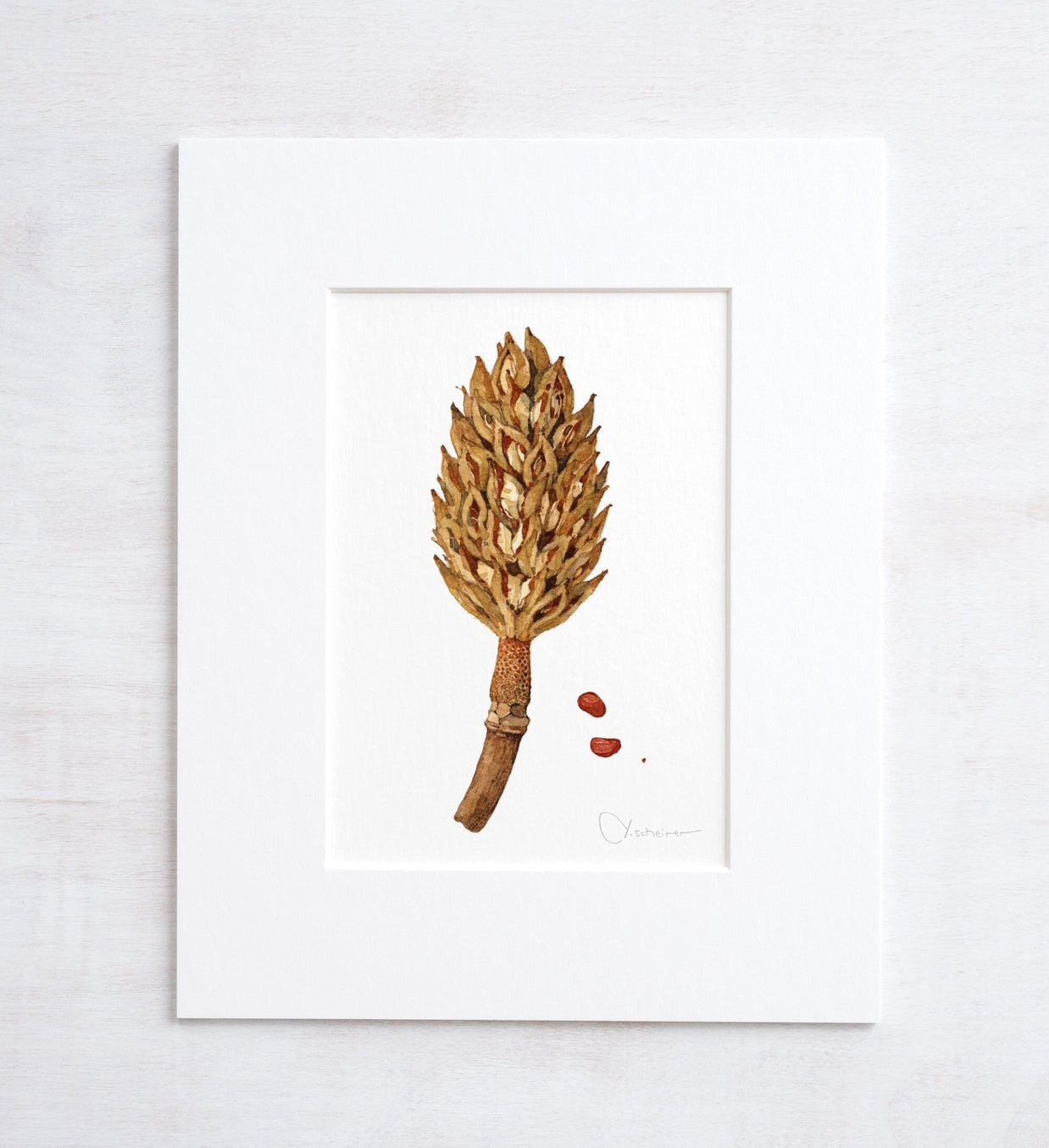 Magnolia Pod Watercolor Print Rustic Botanical Art Print
