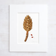 Magnolia Pod Watercolor Print Rustic Botanical Art Print