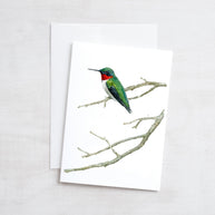 Mixed Bird Card Set II