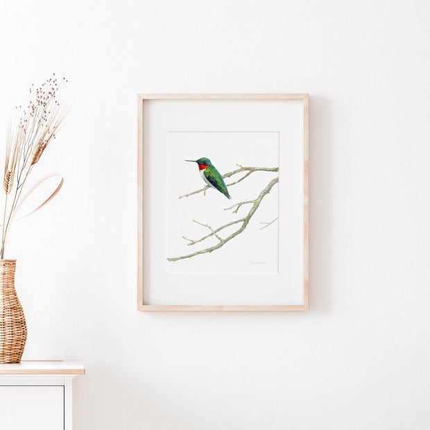 Ruby-throated Hummingbird Print
