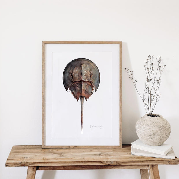 Horseshoe Crab Print