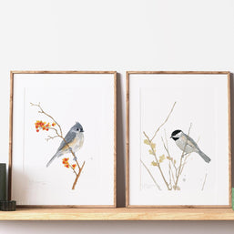 Tufted Titmouse on Bittersweet Print