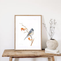 Tufted Titmouse on Bittersweet Print
