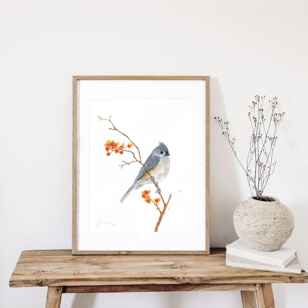 Tufted Titmouse on Bittersweet Print