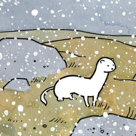Ermine Weasel in Snow Print