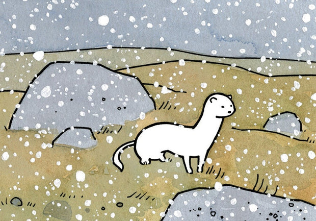 Ermine Weasel in Snow Print