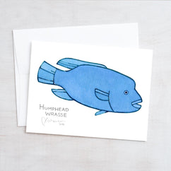 Coral Reef Fish Card Set