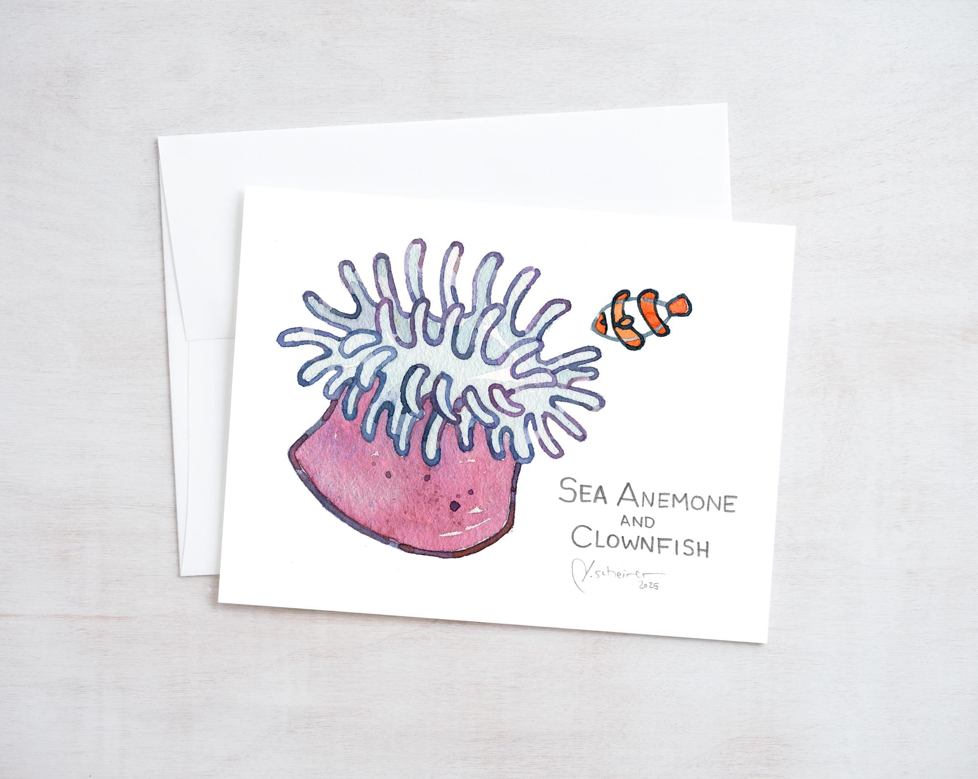 Sea Creatures Card Set Ocean Animal Cards