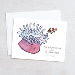 Sea Creatures Card Set Ocean Animal Cards