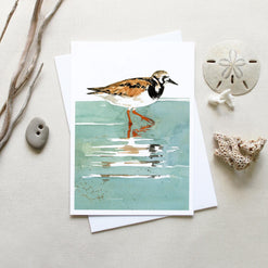 Shorebirds Card Set Mix II