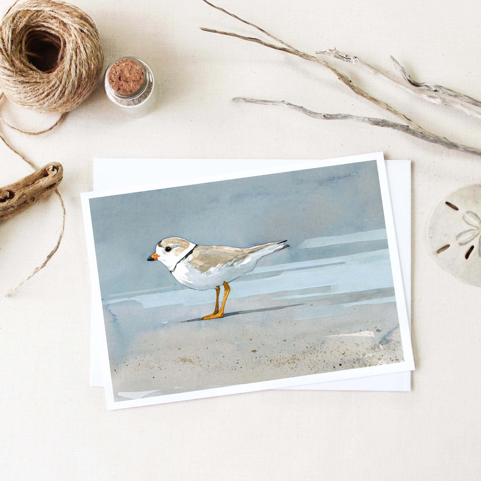 Shorebirds Card Set Mix II