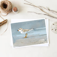Shorebirds Card Set Mix II