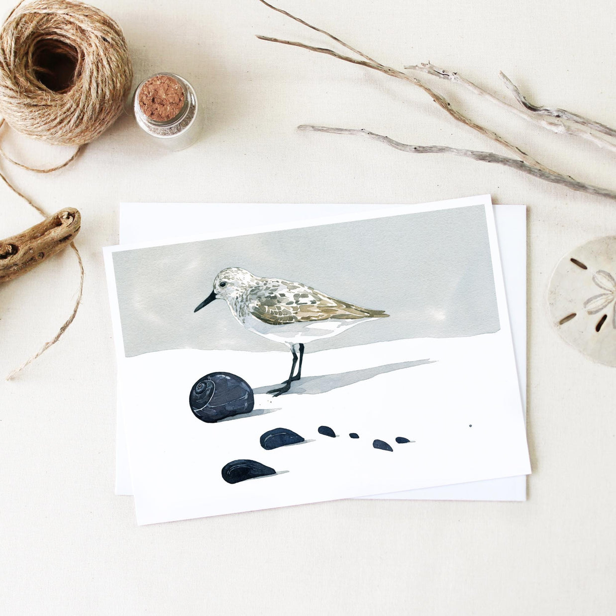 Shorebirds Card Set Mix I