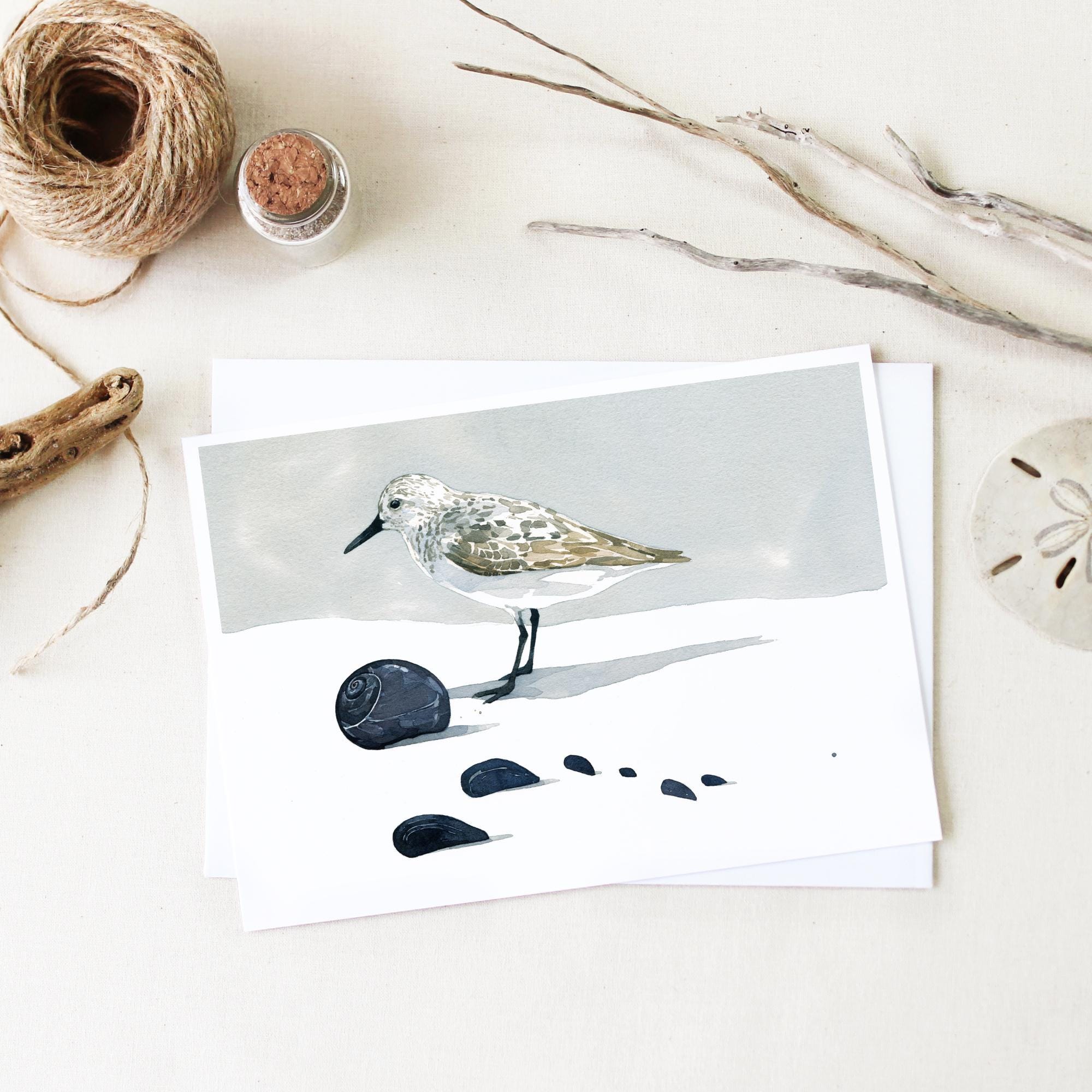 Shorebirds Card Set Mix I