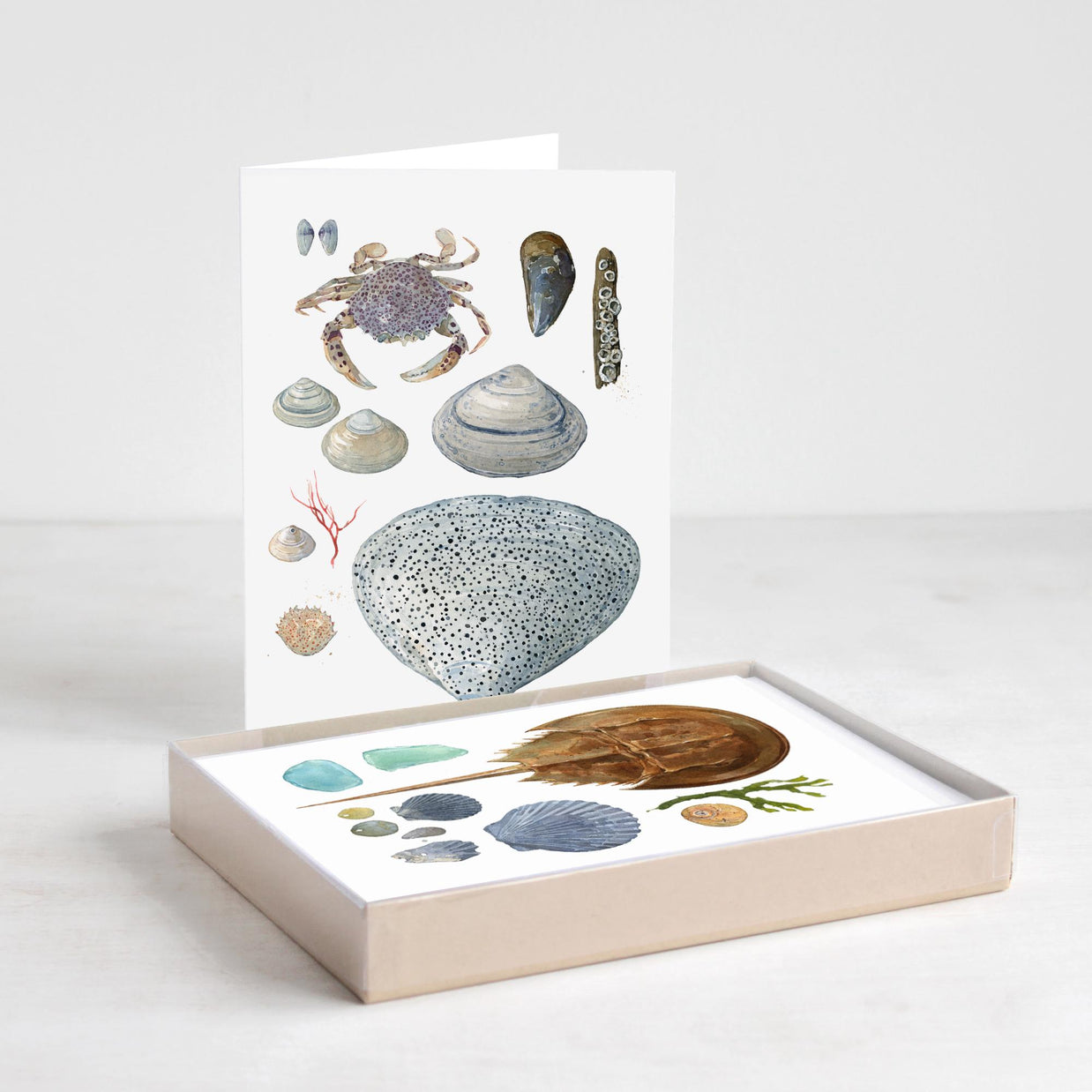 Beachcombing Card Set
