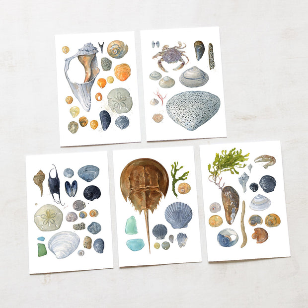 Beachcombing Card Set