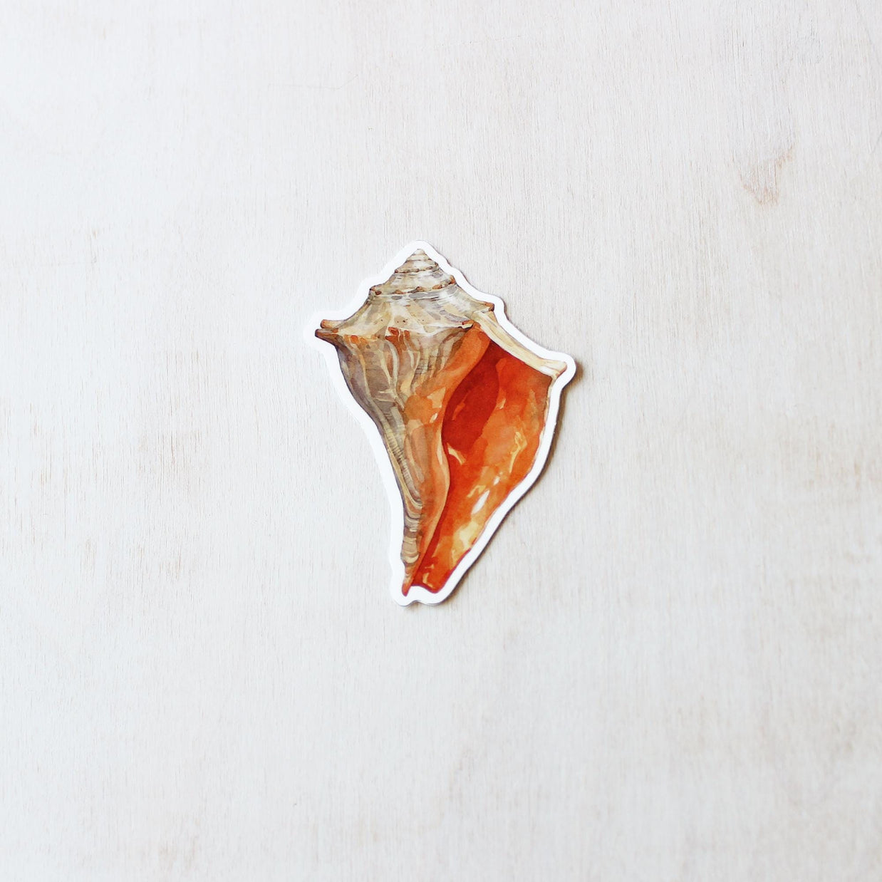 Whelk Shell Sticker