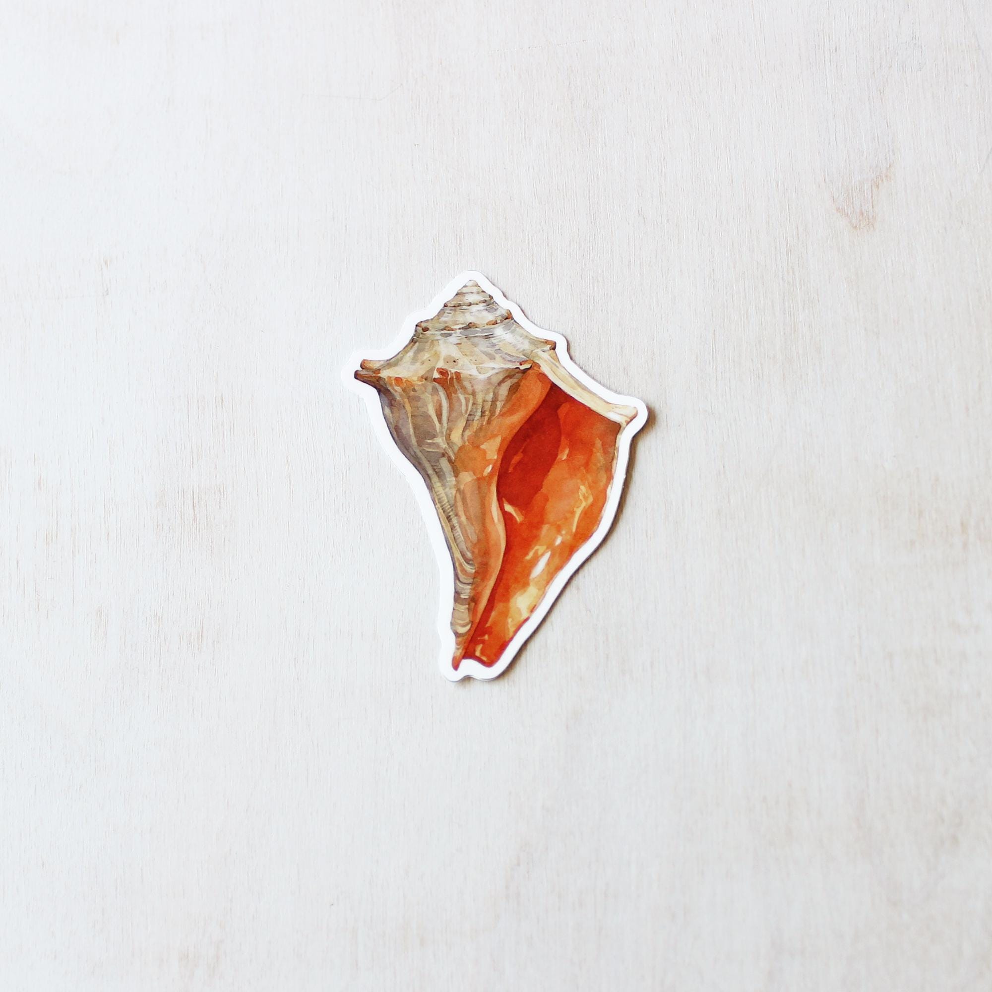 Whelk Shell Sticker