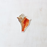 Whelk Shell Sticker