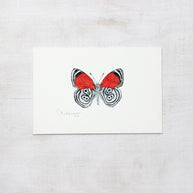Original Eighty-eight Butterfly Watercolor Painting