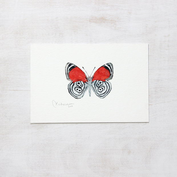 Original Eighty-eight Butterfly Watercolor Painting