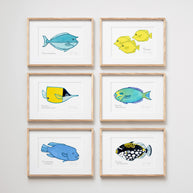 Tropical Reef Fish Print Choose Your Own Print Set