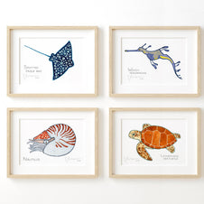 Sea Creature Choose Your Own Print Set