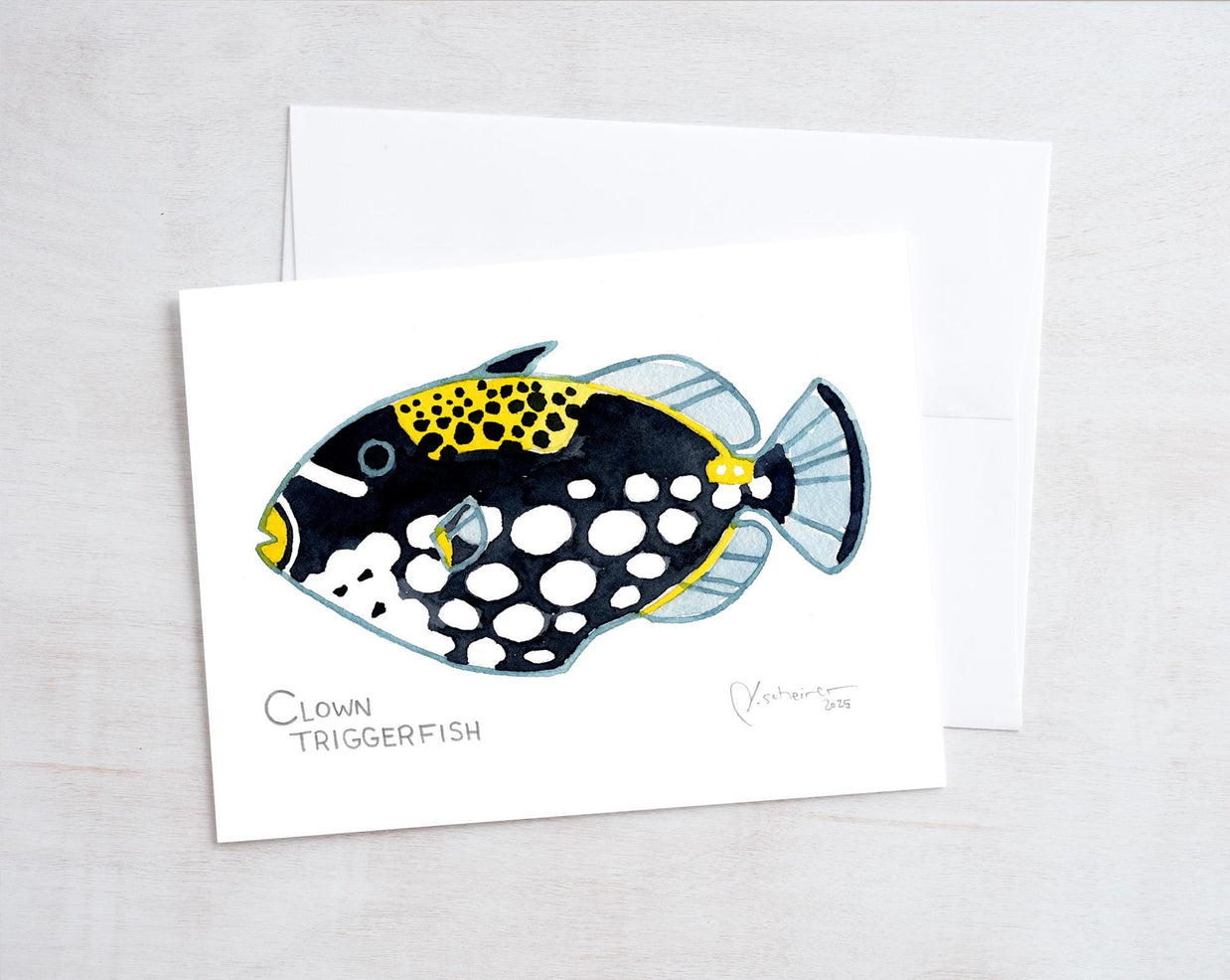 Coral Reef Fish Card Set