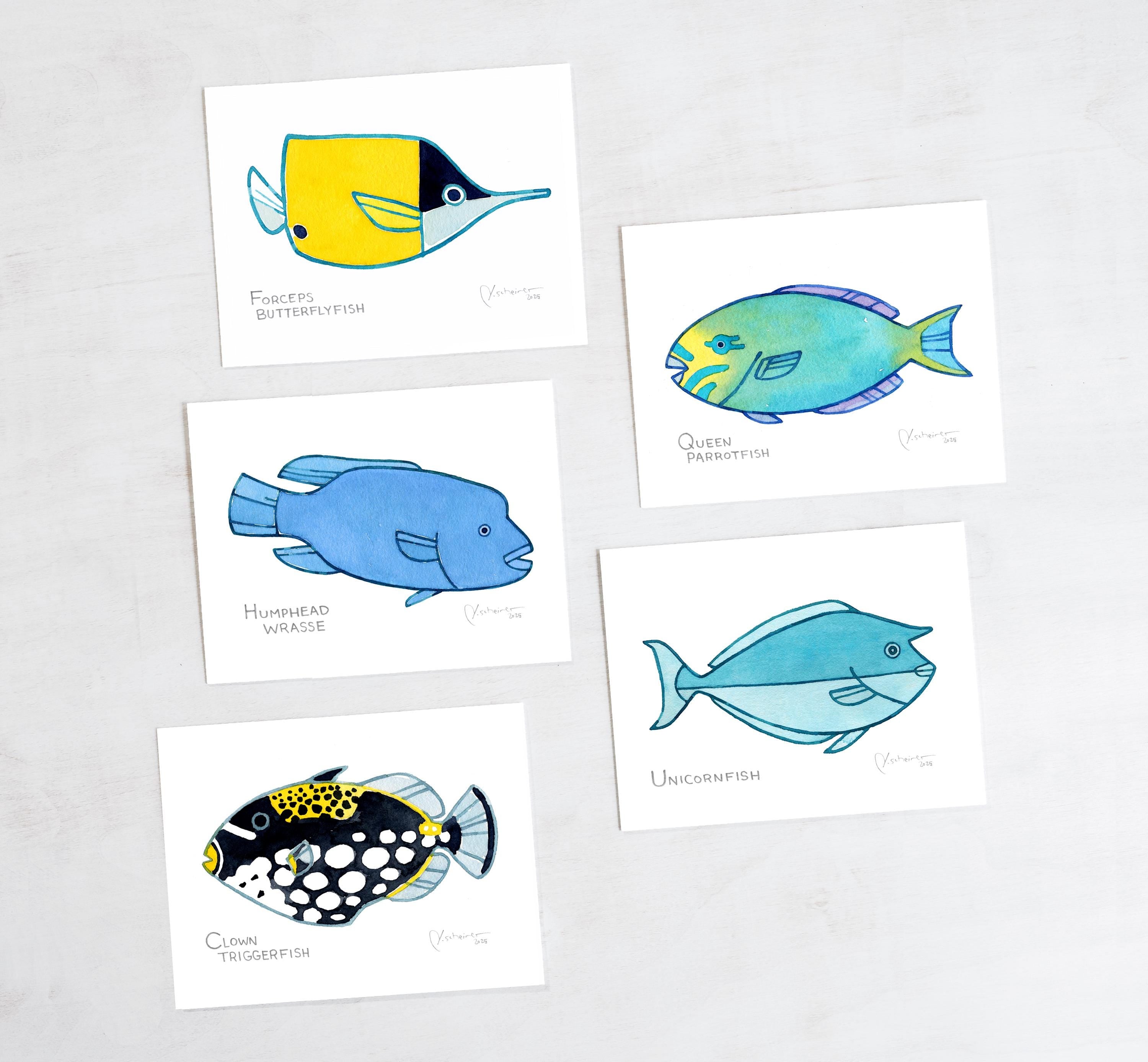 Coral Reef Fish Card Set