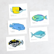 Coral Reef Fish Card Set