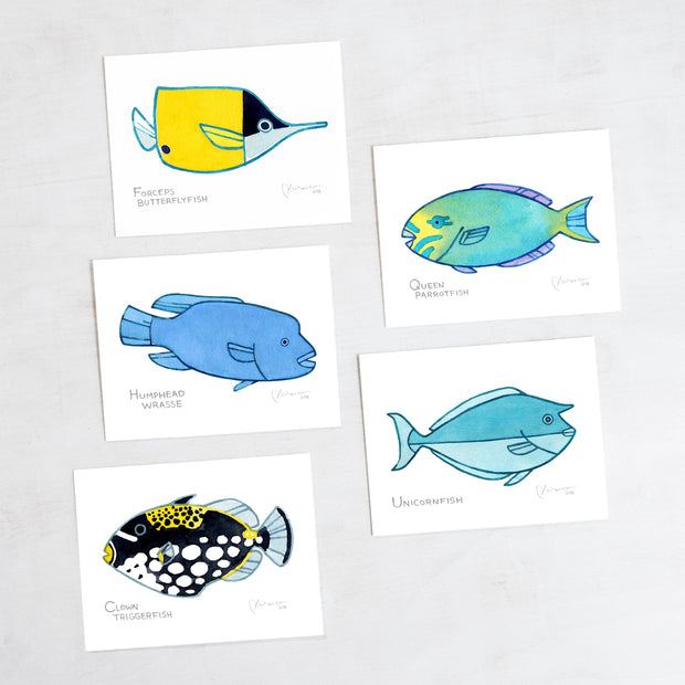 Coral Reef Fish Card Set