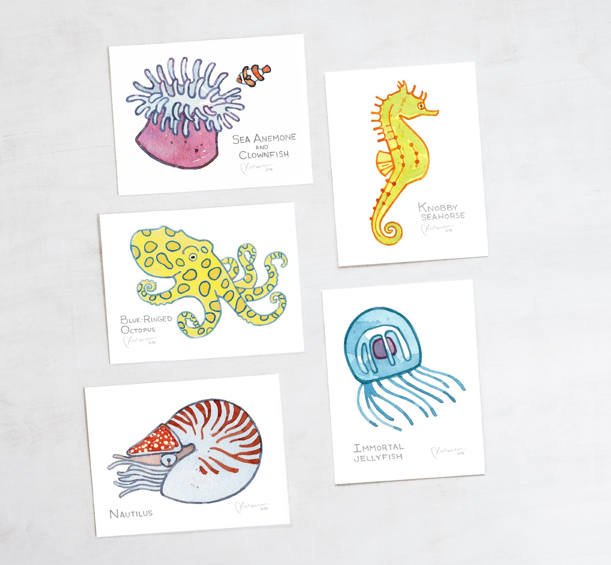 Sea Creatures Card Set Ocean Animal Cards