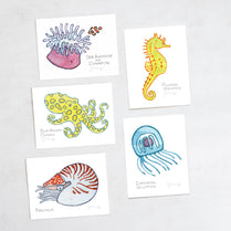 Sea Creatures Card Set Ocean Animal Cards