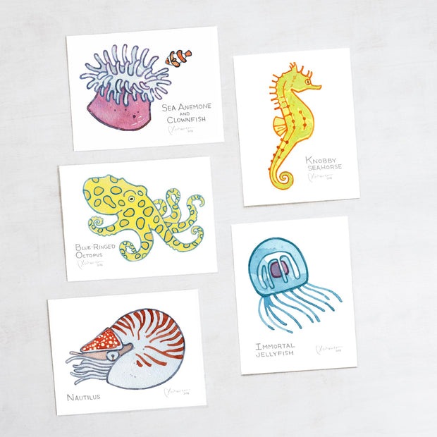 Sea Creatures Card Set Ocean Animal Cards