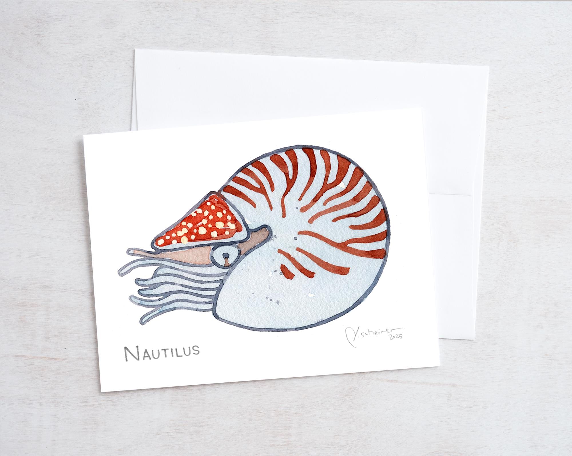 Sea Creatures Card Set Ocean Animal Cards