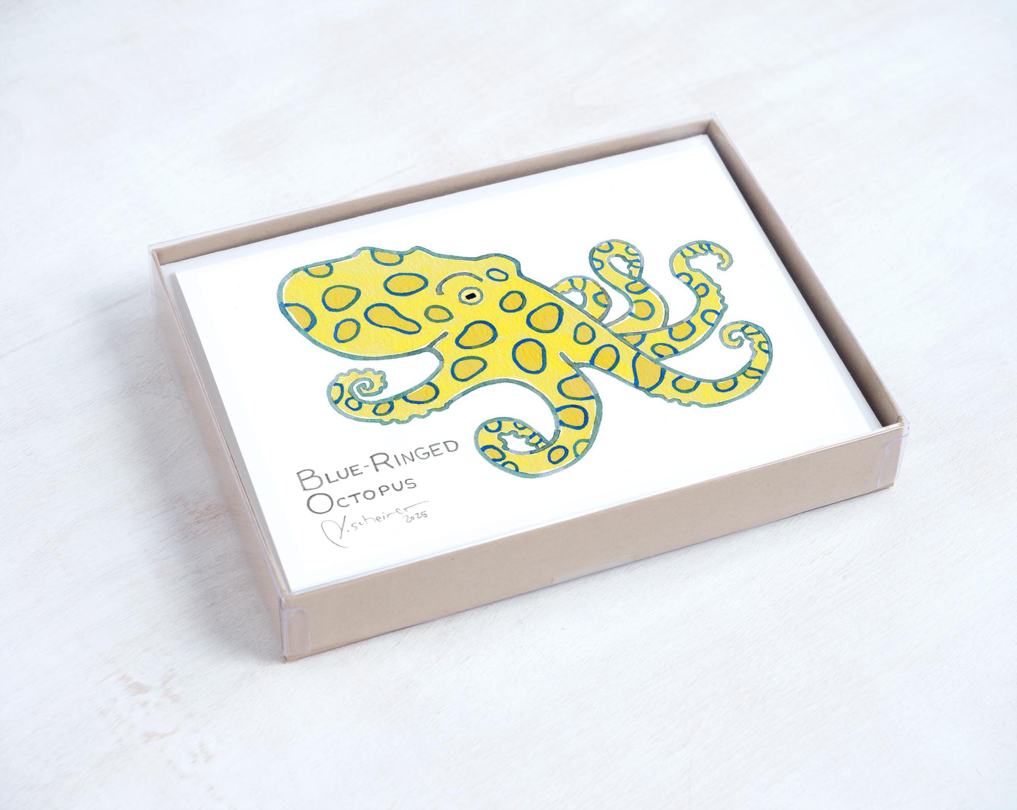 Sea Creatures Card Set Ocean Animal Cards