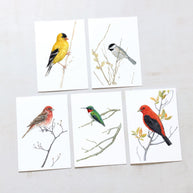 Mixed Bird Card Set II