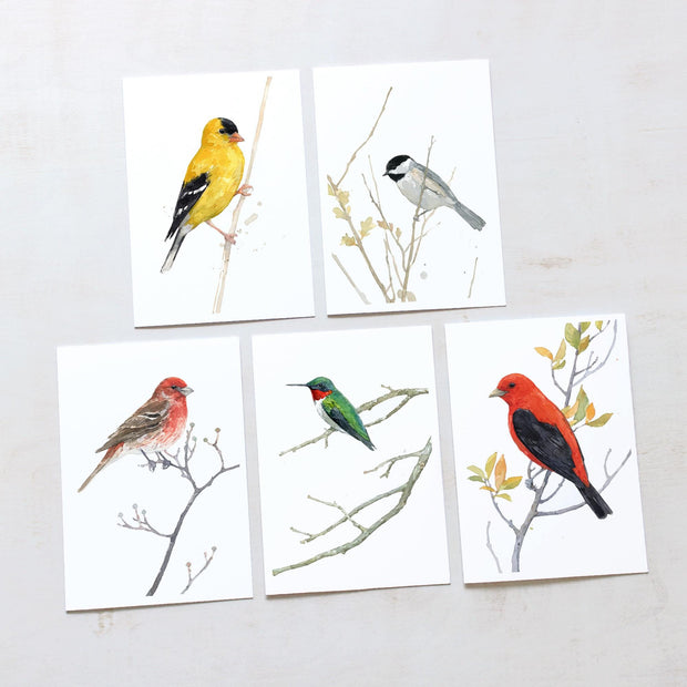 Mixed Bird Card Set II