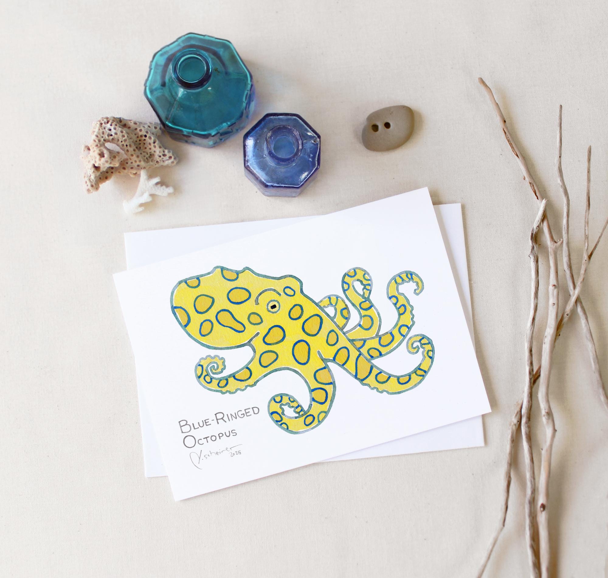 Sea Creatures Card Set Ocean Animal Cards