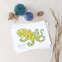 Sea Creatures Card Set Ocean Animal Cards