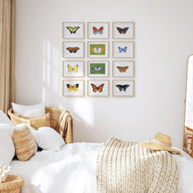 Butterfly Watercolor Print Set Choose Your Own Print Collection
