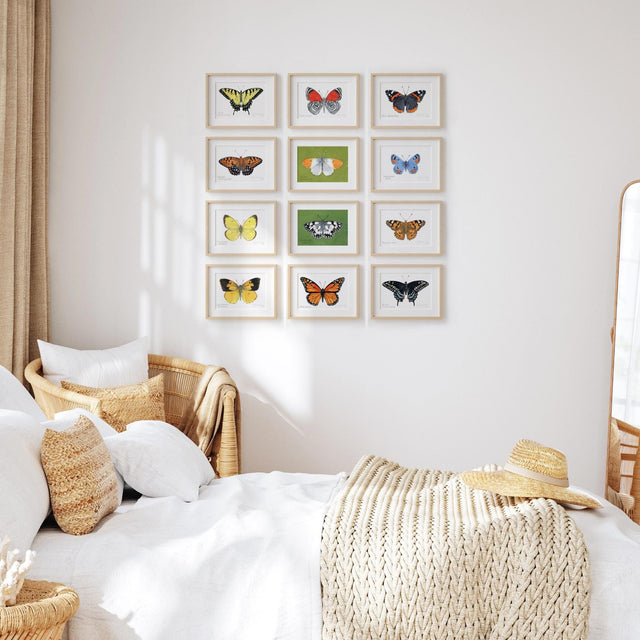Butterfly Watercolor Print Set Choose Your Own Print Collection