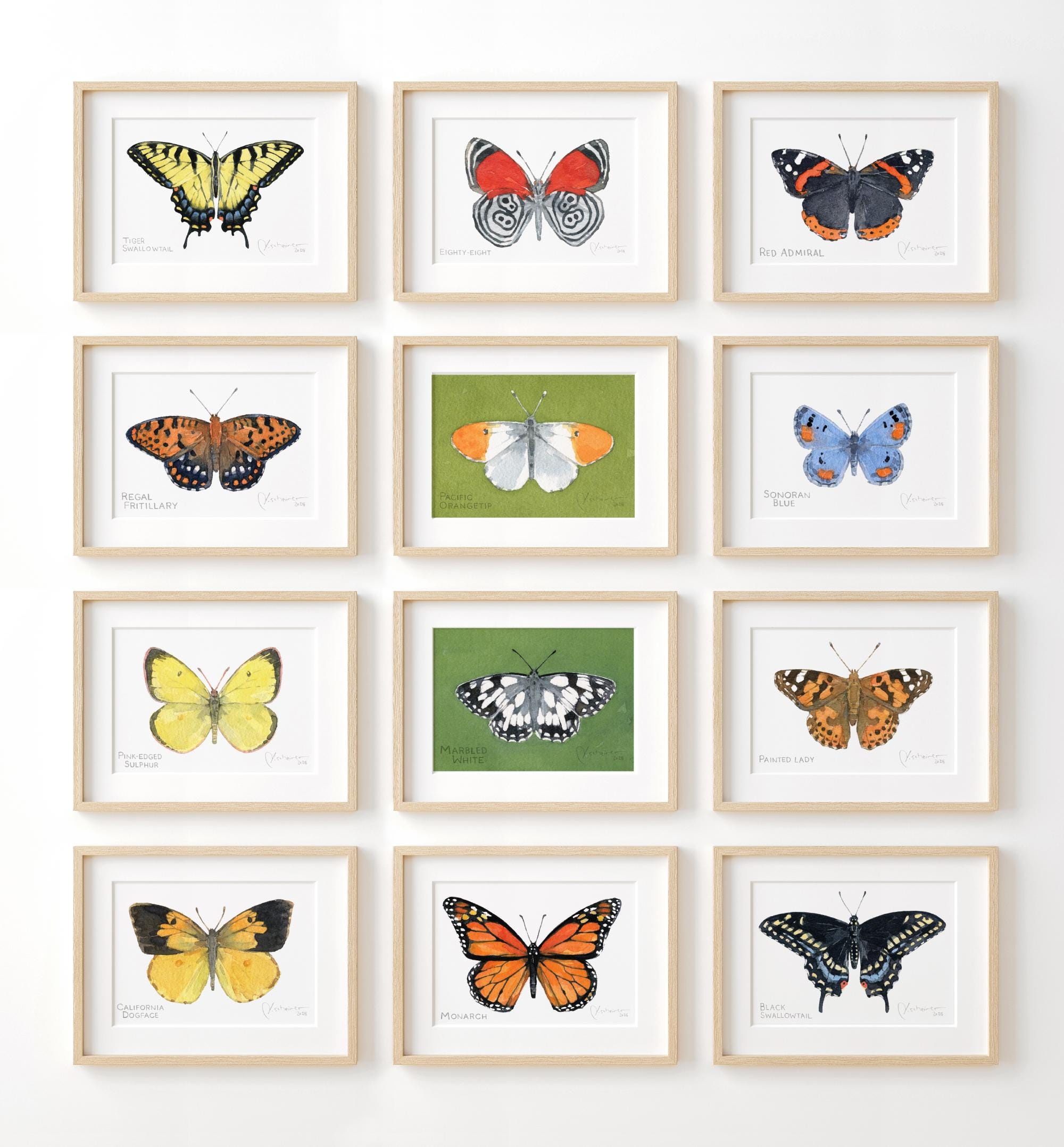 Butterfly Watercolor Print Set Choose Your Own Print Collection